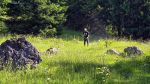 Gr_Walsertal_AS_2025-001 (13)